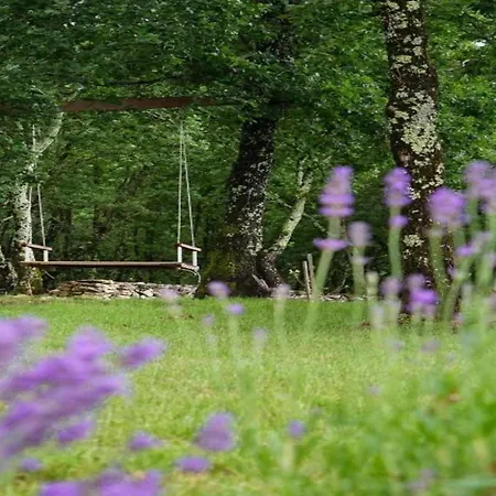 Modern With Private Hydromassage Pool