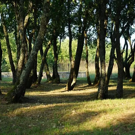 Modern With Private Hydromassage Pool *