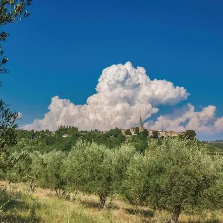 Villa Modern With Private Hydromassage Pool Vodnjan