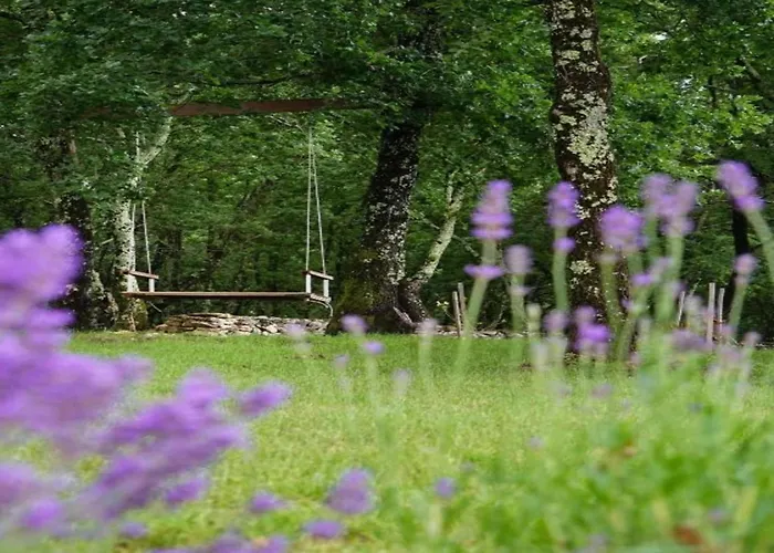 Modern With Private Hydromassage Pool