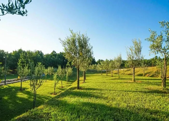 Modern With Private Hydromassage Pool 别墅