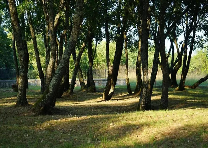 Modern With Private Hydromassage Pool *